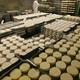 These wheels of brie look just like pills, how very middle-class!